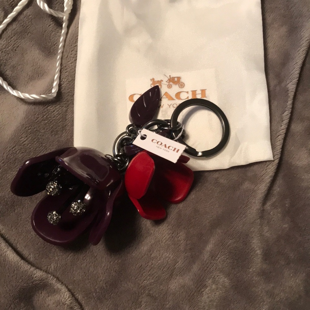 Coach keychain